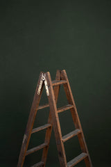 10024 Green Low Text M