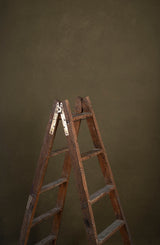 10081 Olive Green Low Text ST