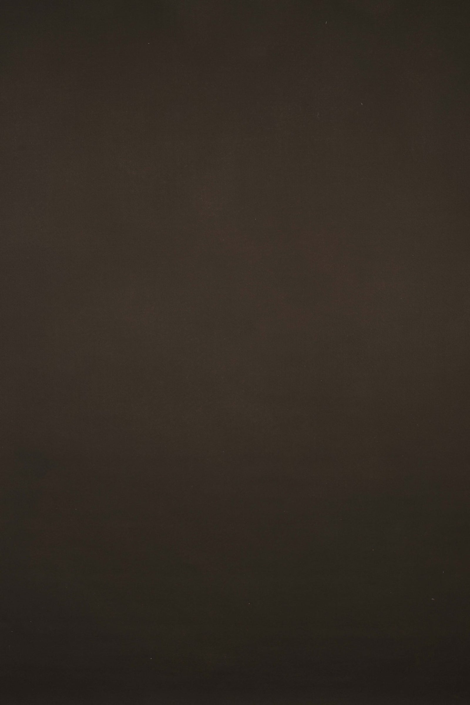 10203 Brown Distressed Text L