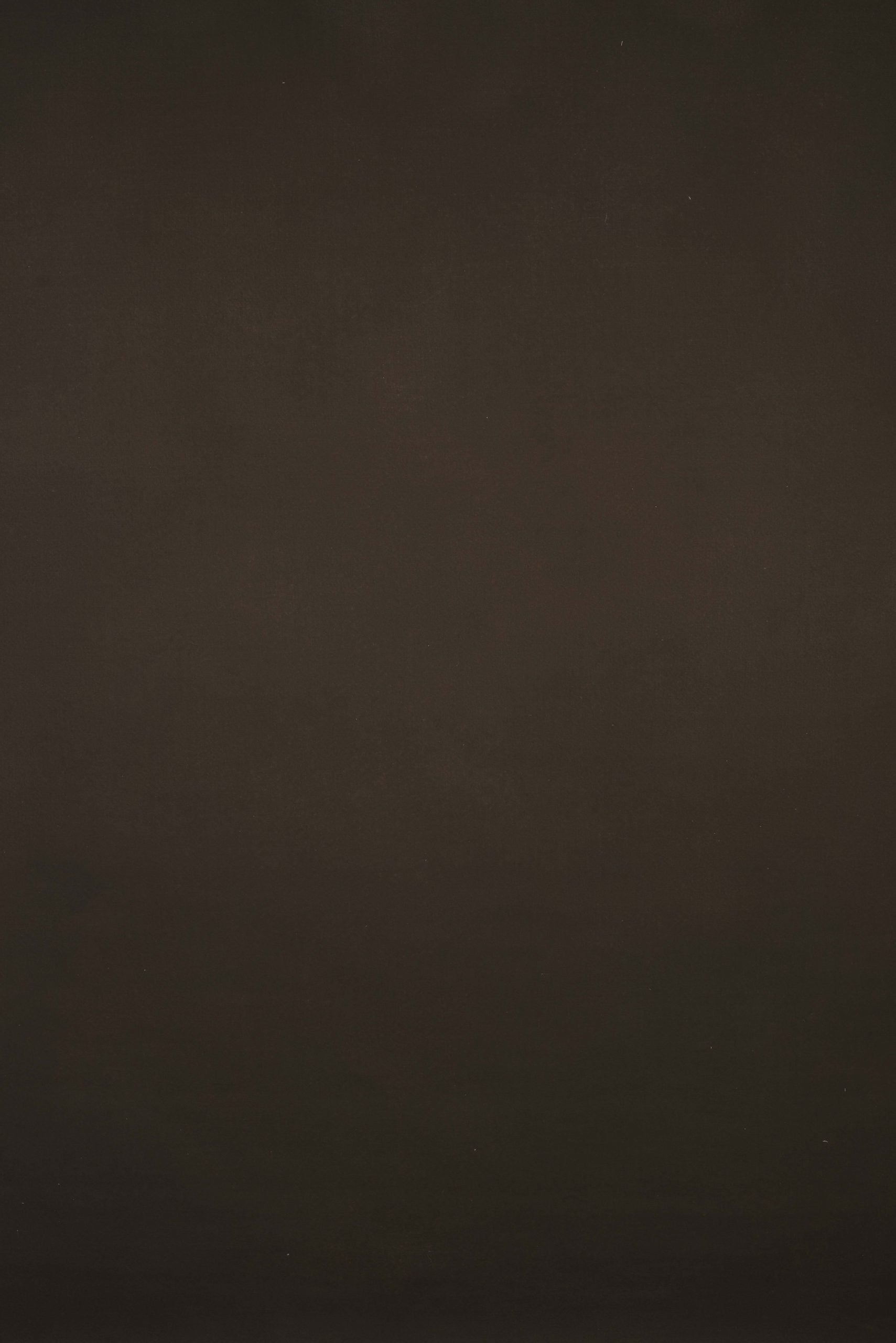 10203 Brown Distressed Text L