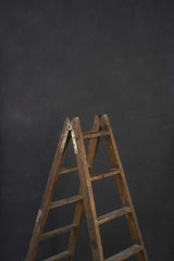 10222 Dark Grey Mid Text ST