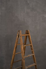 10240 Warm Grey Mid Text Large