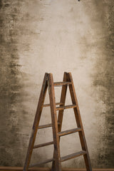 10274 Beige Brown Strong Text MID