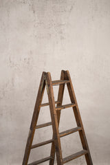 10276 Light Beige Low text MID