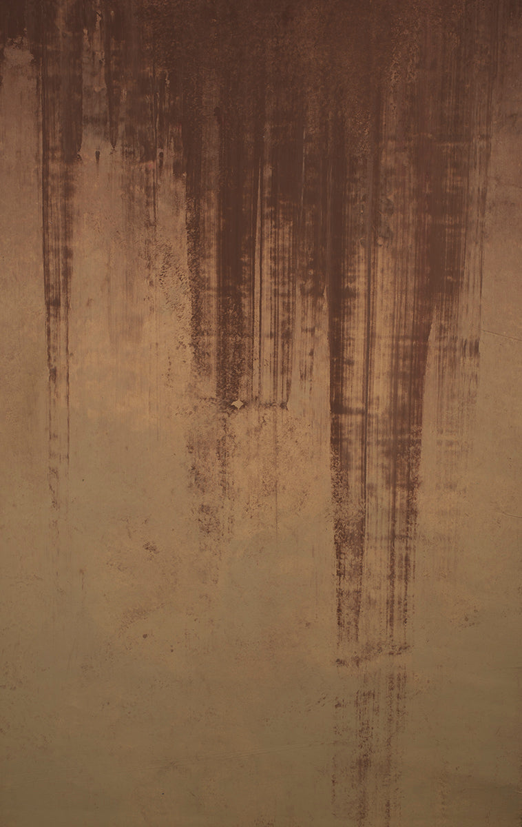 10312 Ochre Brown Strong Text XS