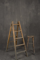 1047 Warm Grey Strong Text XL