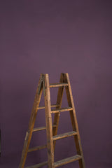 10503 Purple Low Text ST