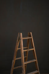 10666 Cold Grey Brown Mid Text L