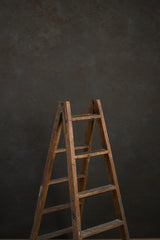 10692 Cold Grey Brown Mid Text M