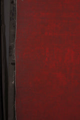 10719 Red Distressed Text M
