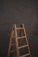 10856 Cold Grey Brown Mid Text M