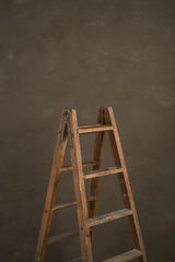 10858 Warm Grey Mid Text ST