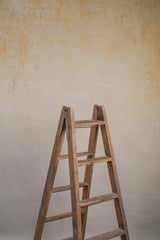 10984 Light Ochre Mid Text M