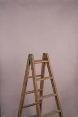 11012 Beige Rose Low Text ST
