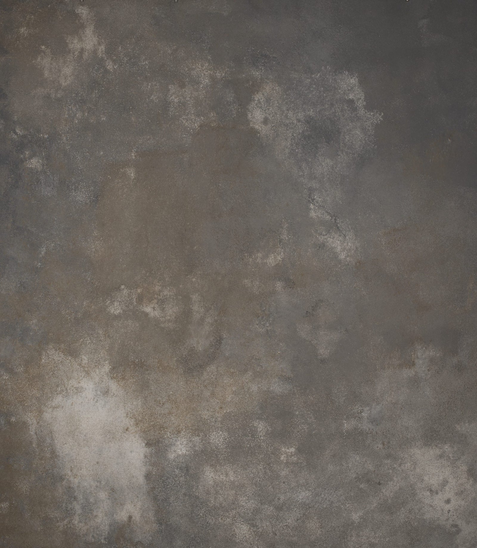 1106 Warm Grey Strong Text L+