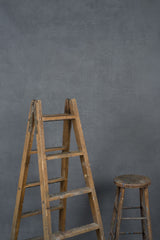 1126 Cold Grey Distressed Text L+