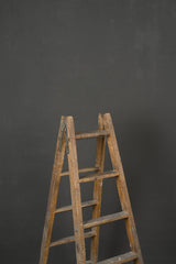11301 Dark Grey Mid  Text L