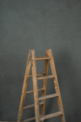 11309 Cold Grey Mid Text L
