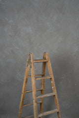 11311 Cold Grey Mid Text L