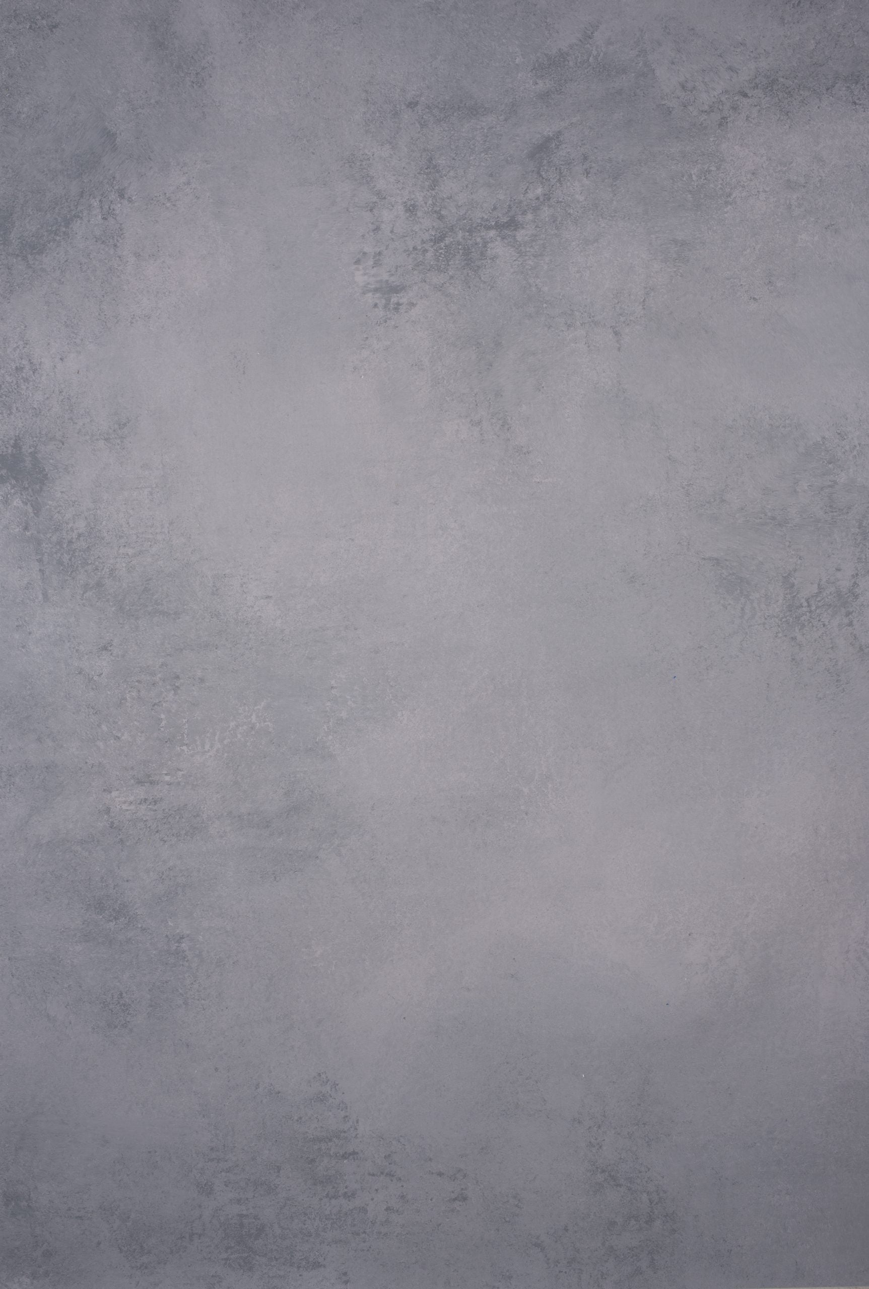 1133 Light Grey Distressed Text L+