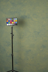 Green Backdrop Mid Text L 11332