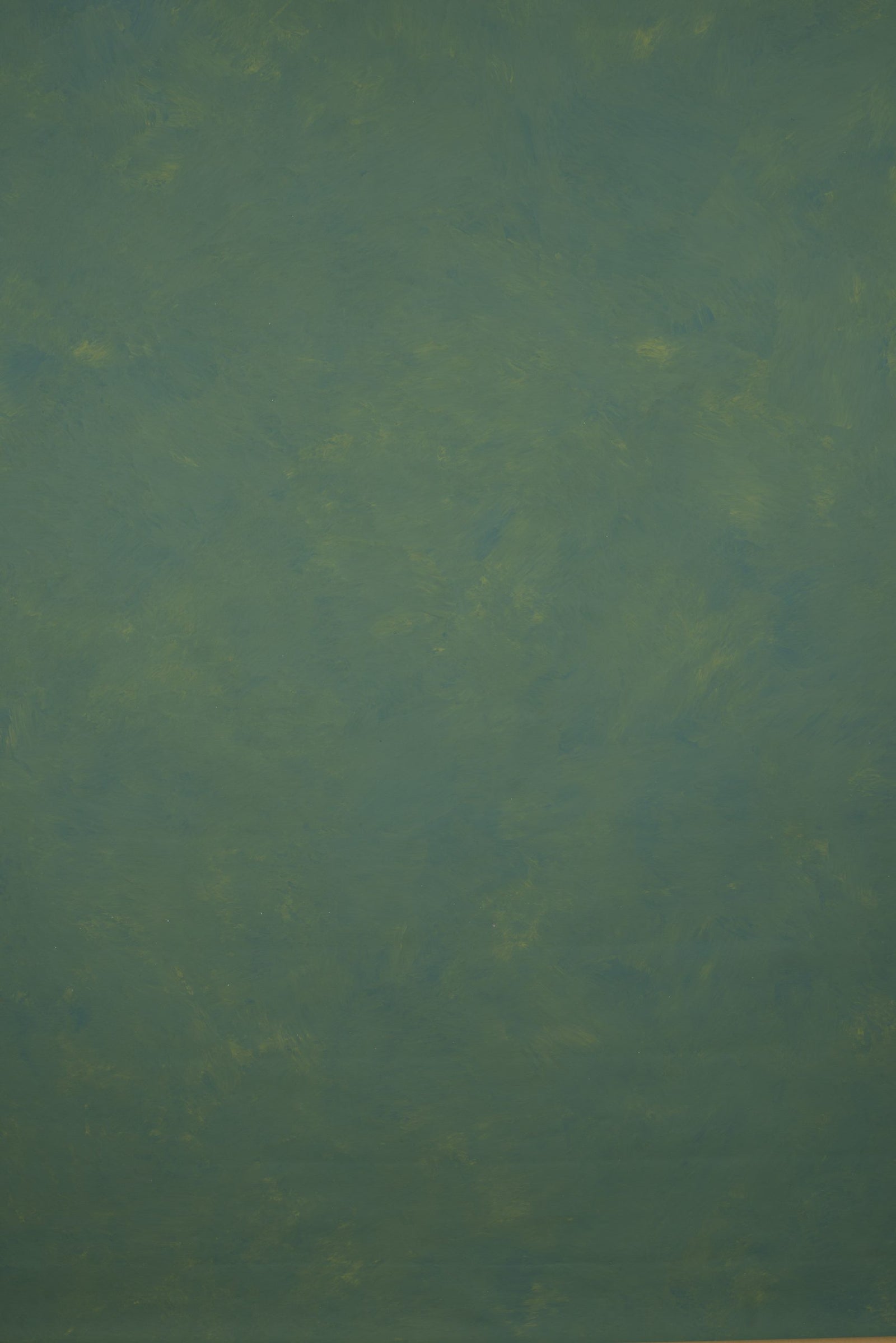11336 Green Blue Mid Text L