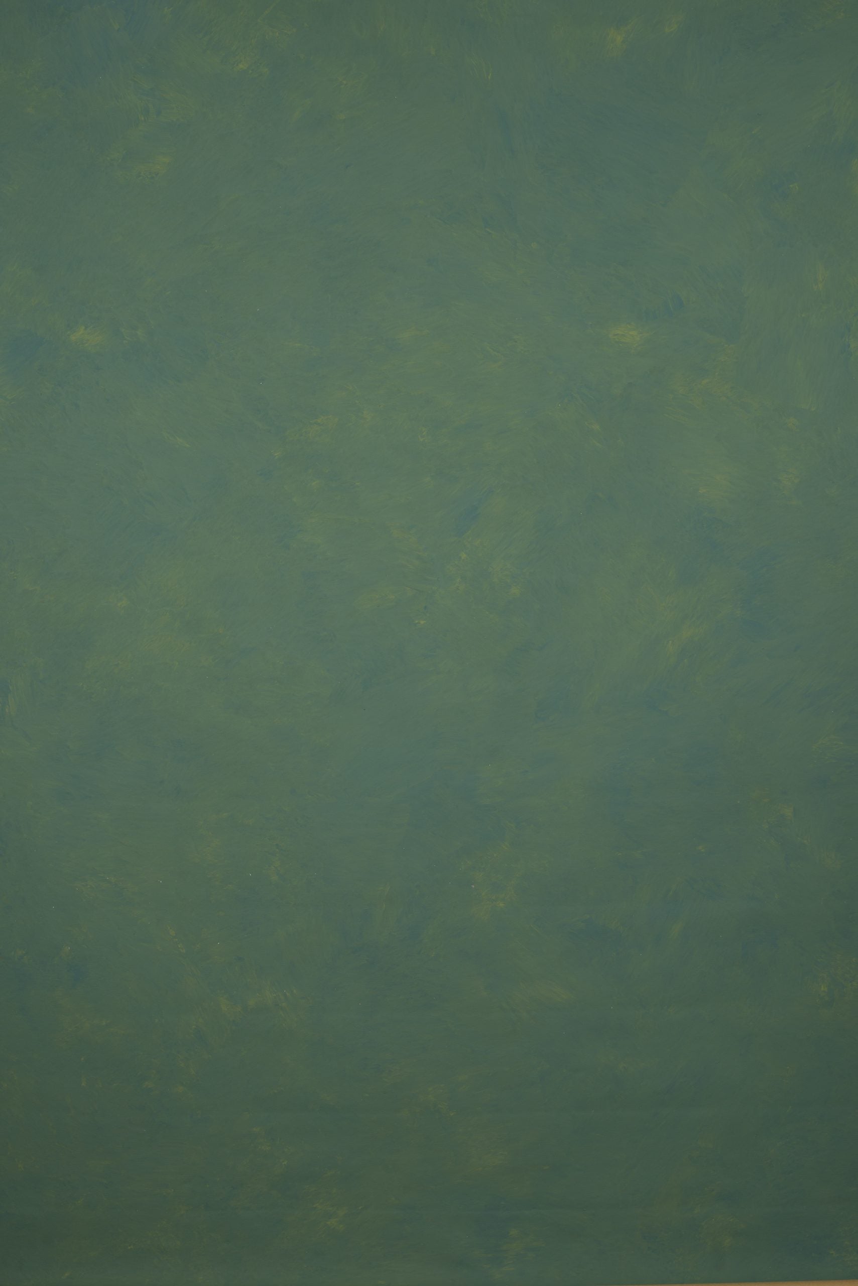 11336 Green Blue Mid Text L