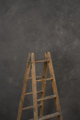 11365 Warm Grey Mid Text M