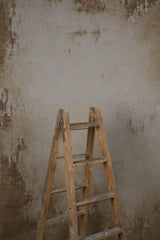 Beige Brown Backdrop Strong Text M 11366