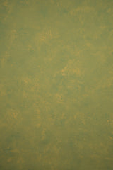 Ochre Green Backdrop Mid Text M 11421