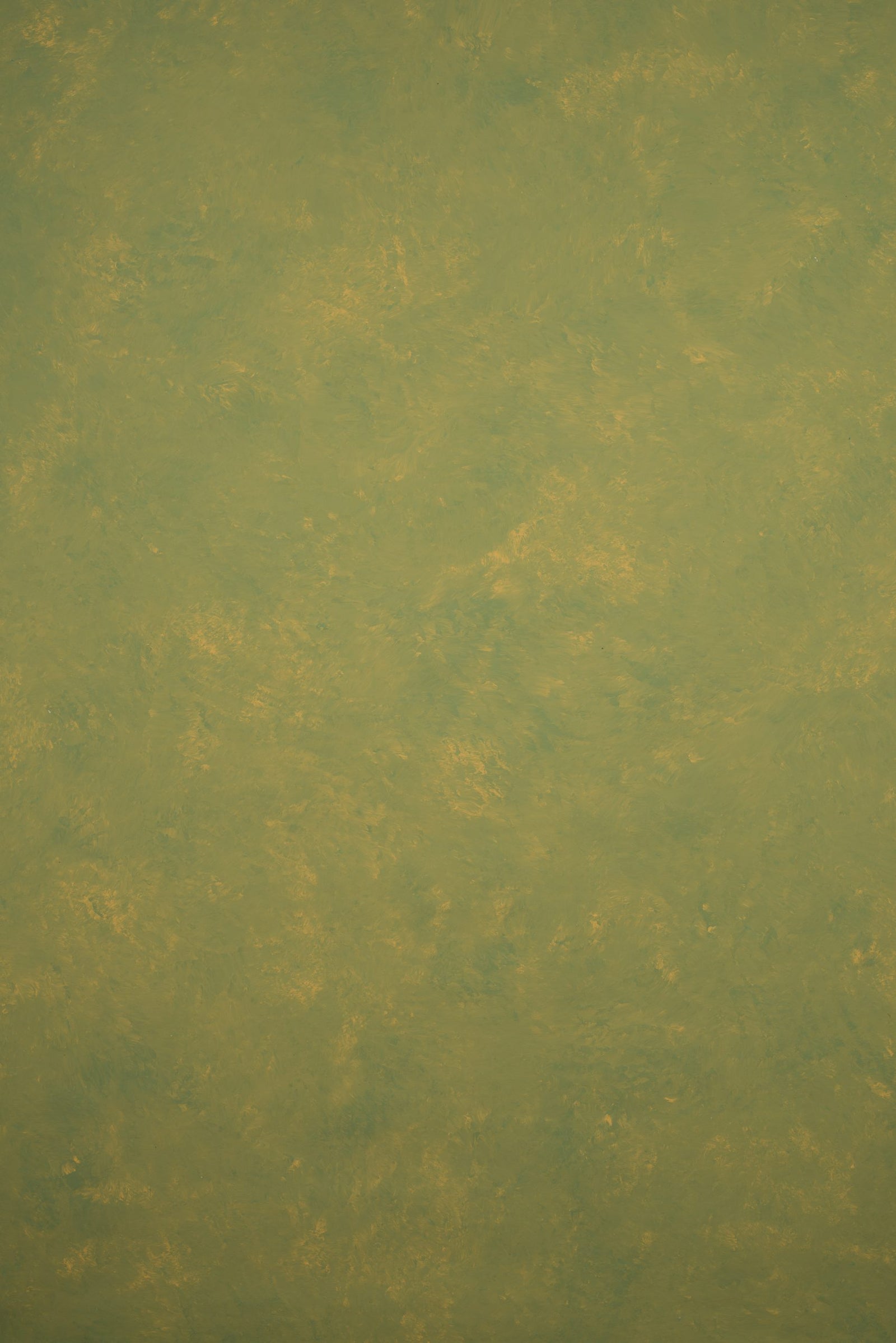 Ochre Green Backdrop Mid Text M 11421