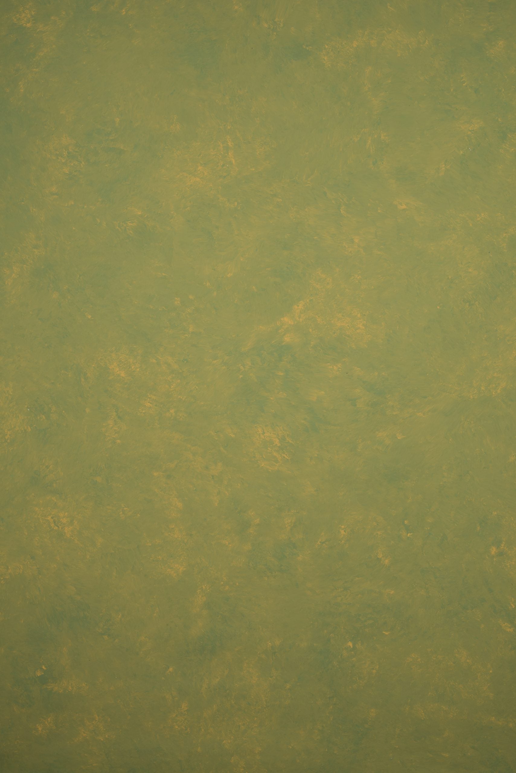 Ochre Green Backdrop Mid Text M 11421