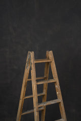 Dark Grey Backdrop Mid Text ST 11446