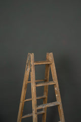11479 Dark Green Low Text ST