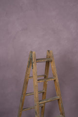 11491 Violet Low Text ST