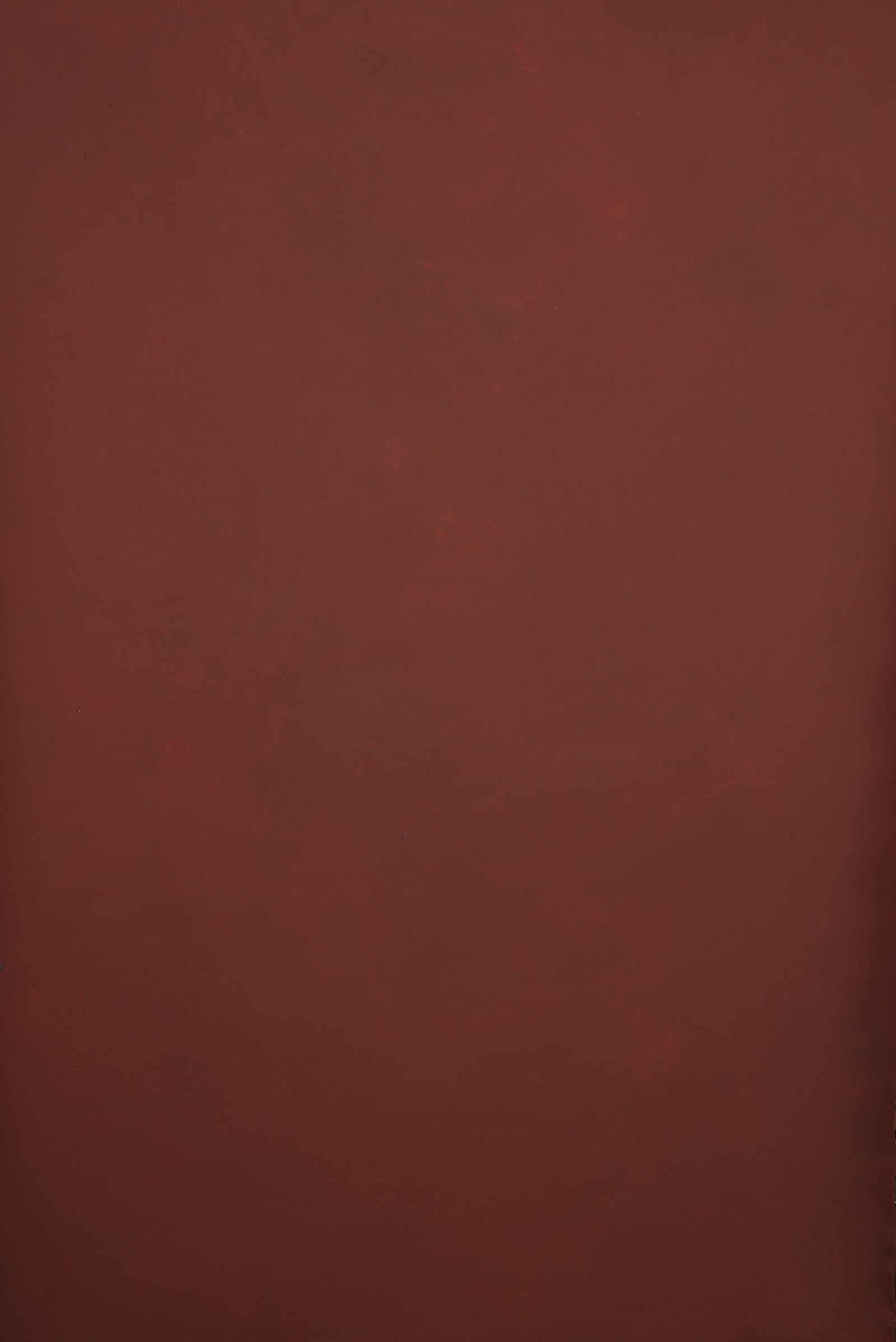 11531 Red Low Text XS
