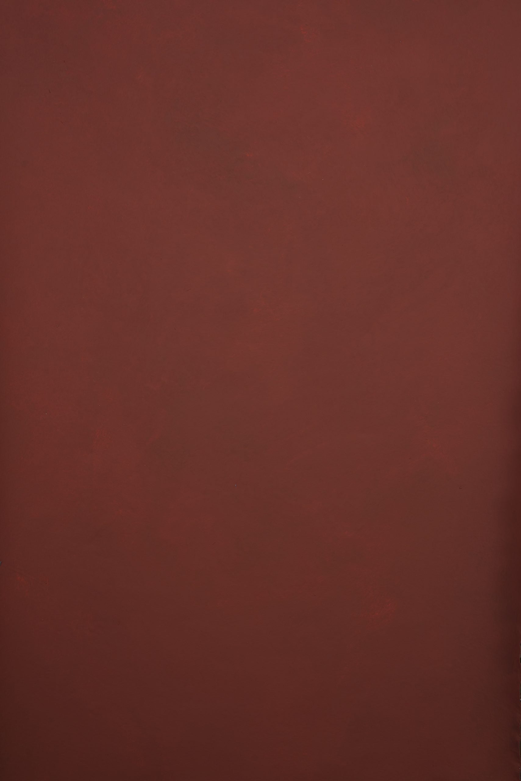 11531 Red Low Text XS