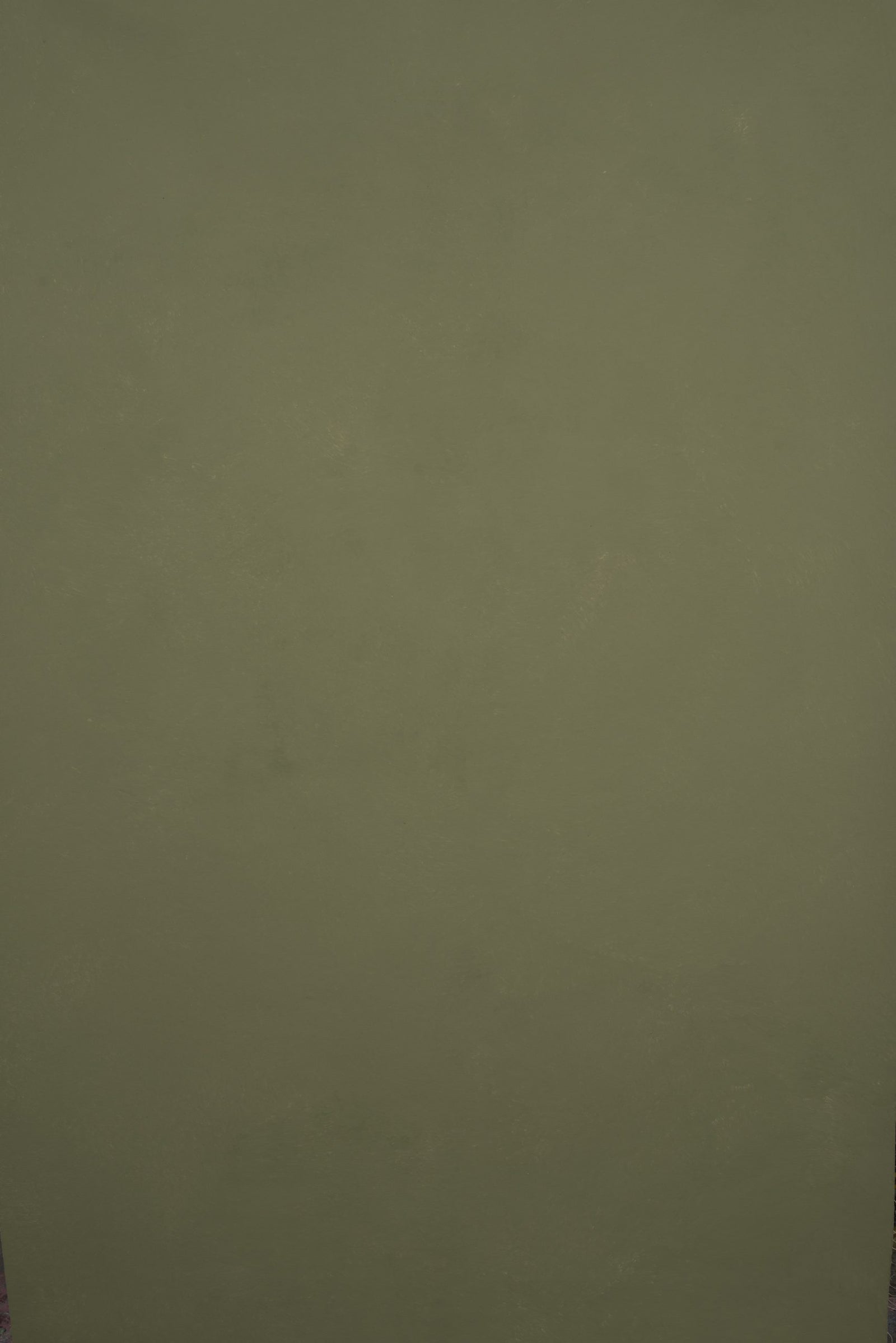 11538 Green Low Text XS