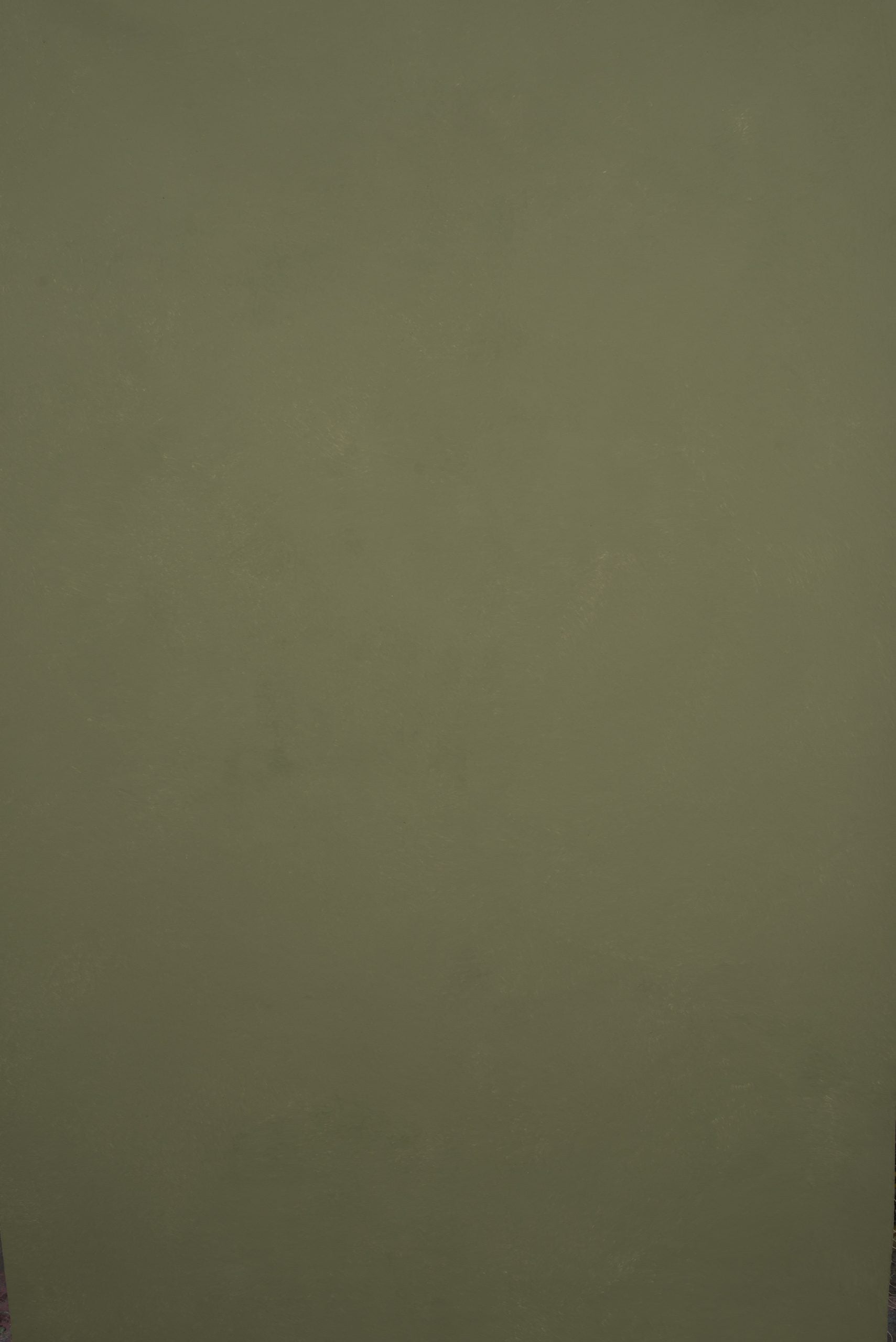 11538 Green Low Text XS