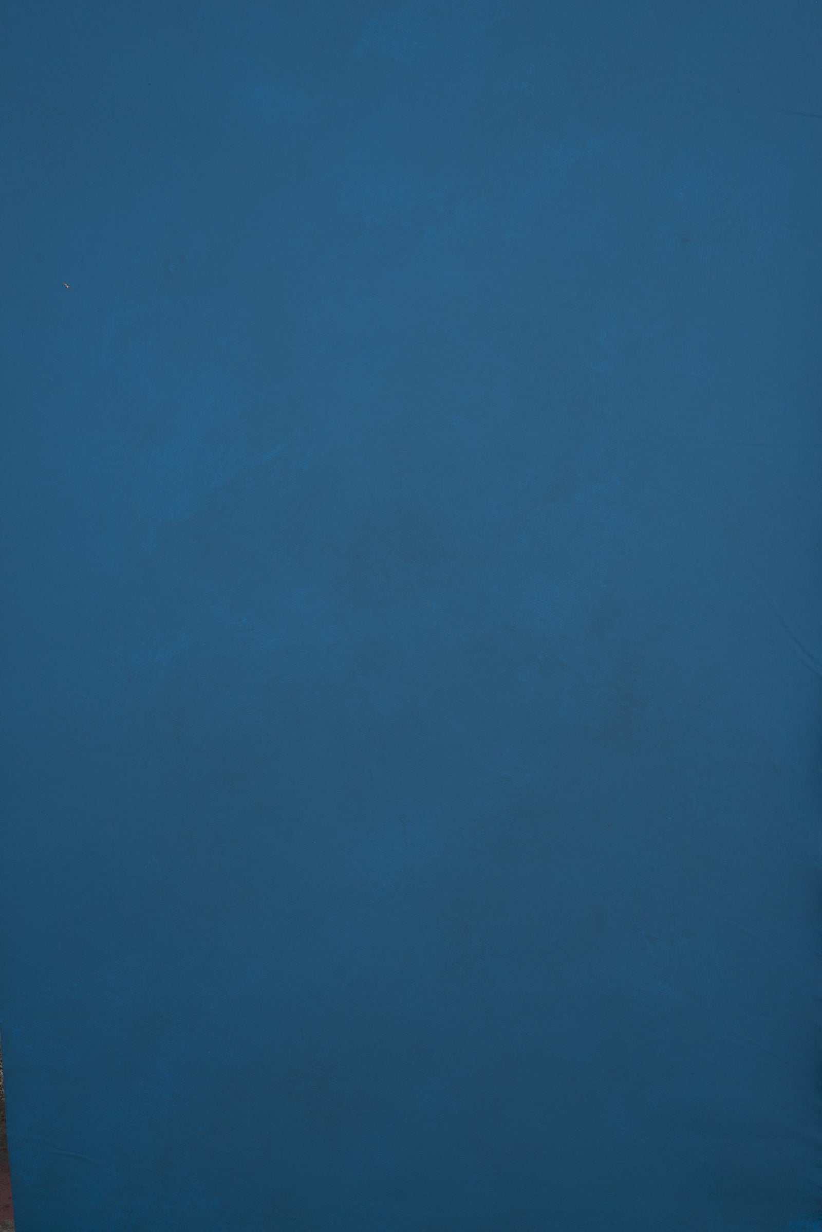 11544 Blue Low Text XS