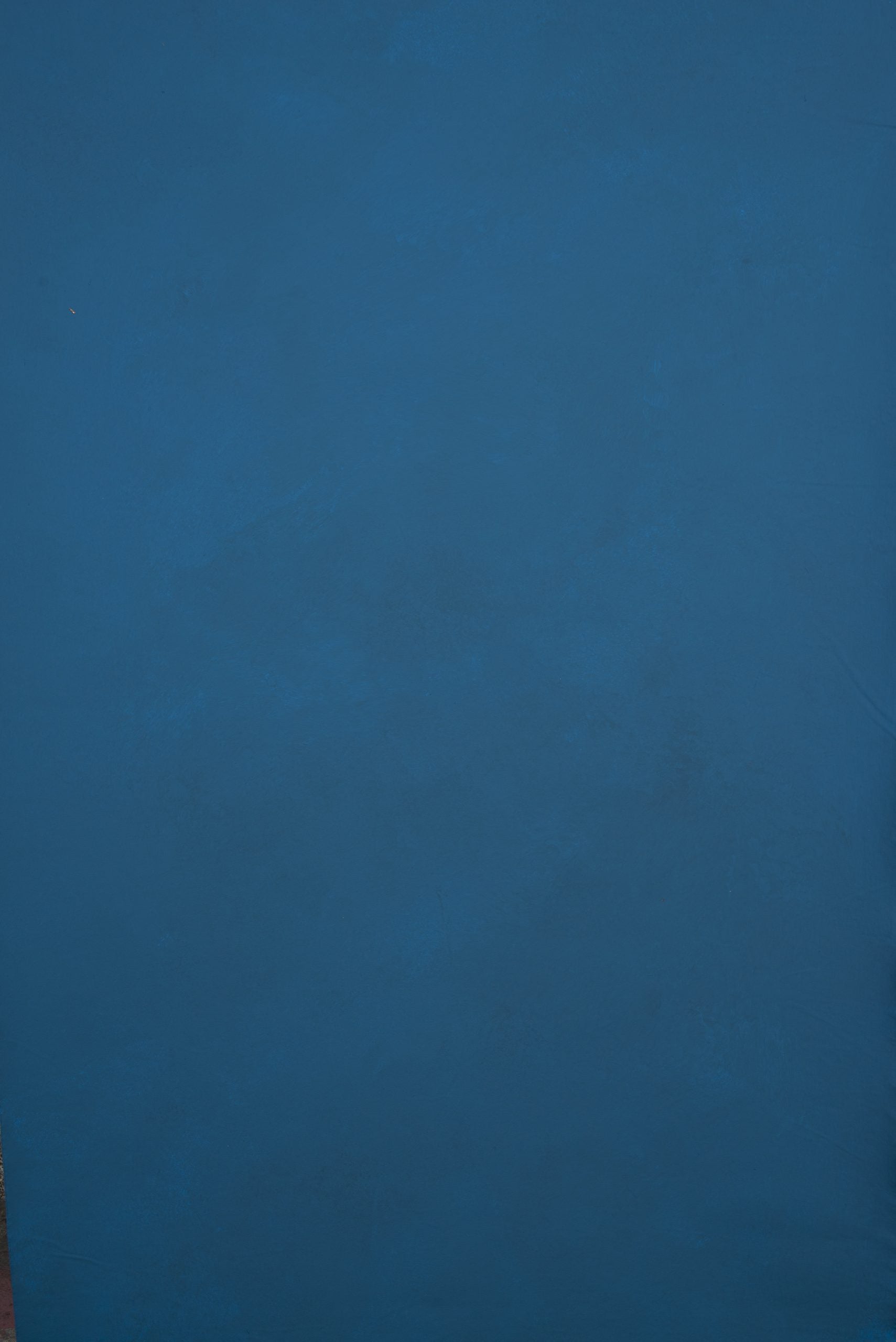 11544 Blue Low Text XS