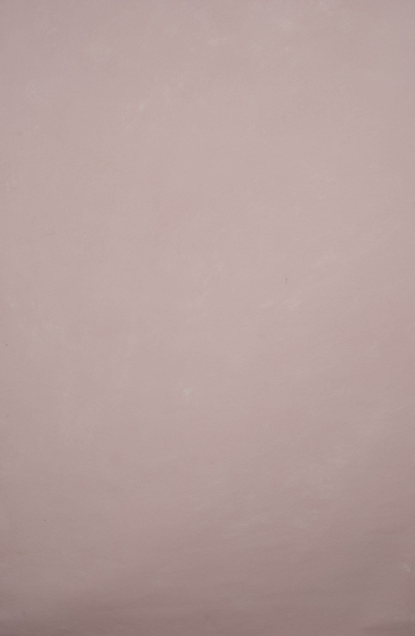 11552 Beige Rose Low Text XS