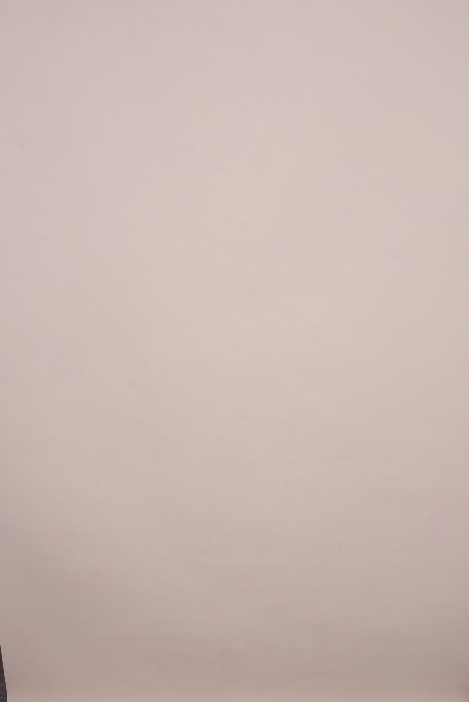 11554 Rose Low Text XS