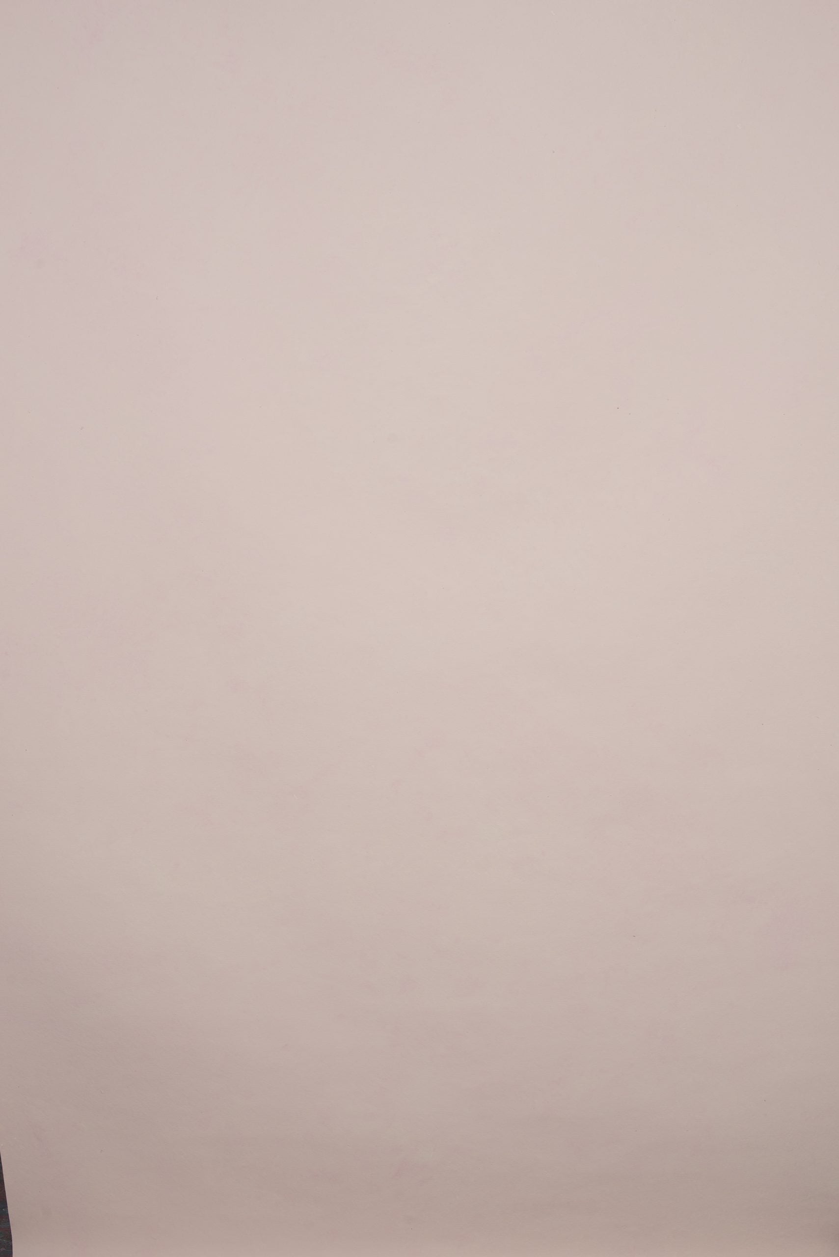 11554 Rose Low Text XS