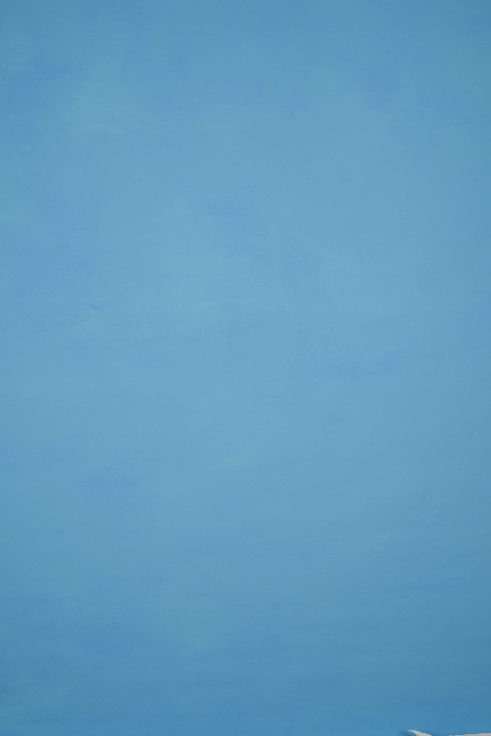 11565 Tirquize Low Text L