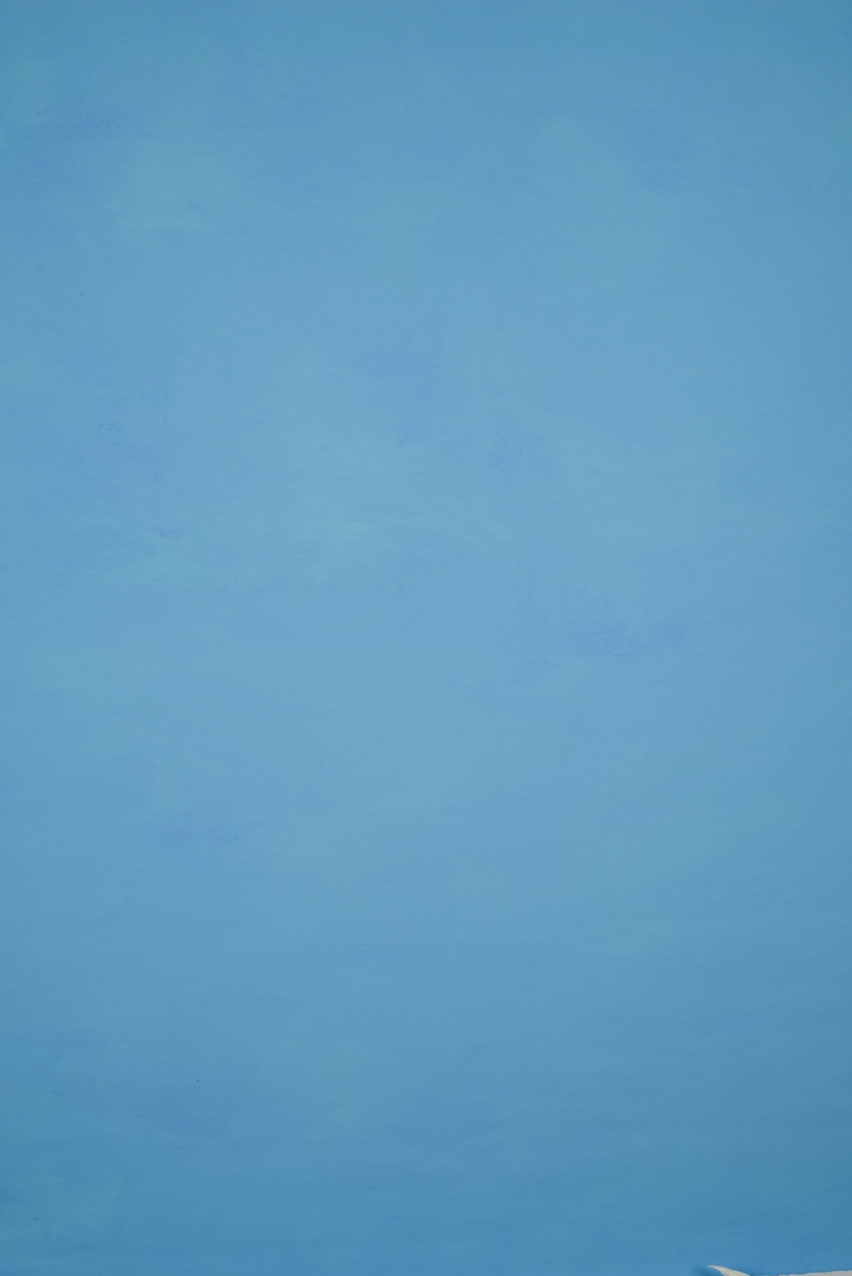 11565 Tirquize Low Text L