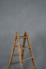 11597 Cold Grey Mid Text ST