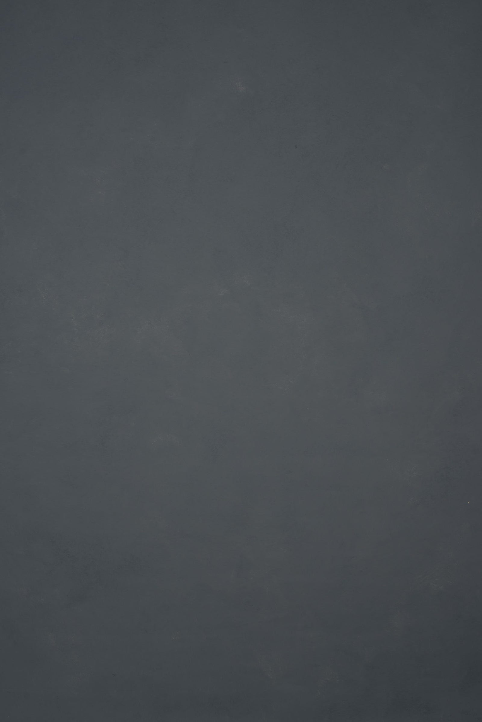 11662 Cold Grey Low Text L