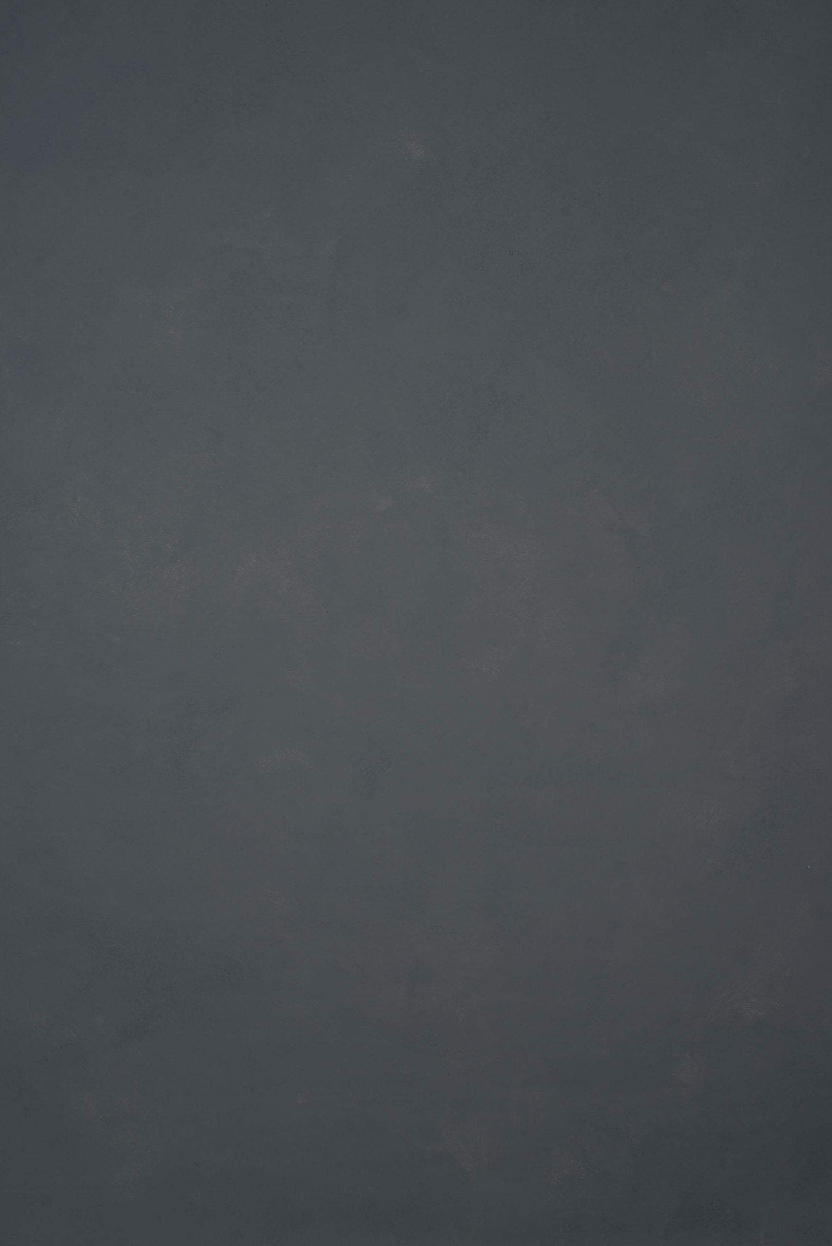 11662 Cold Grey Low Text L