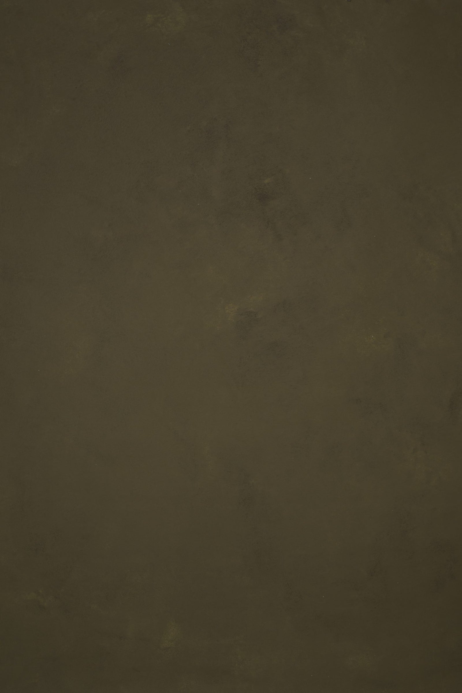 11691 Olive Green Low Text L